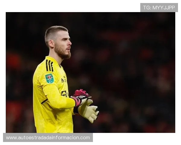 埃里克森心中理想五人制阵容：C罗凯恩锋线组合 德赫亚镇守球门